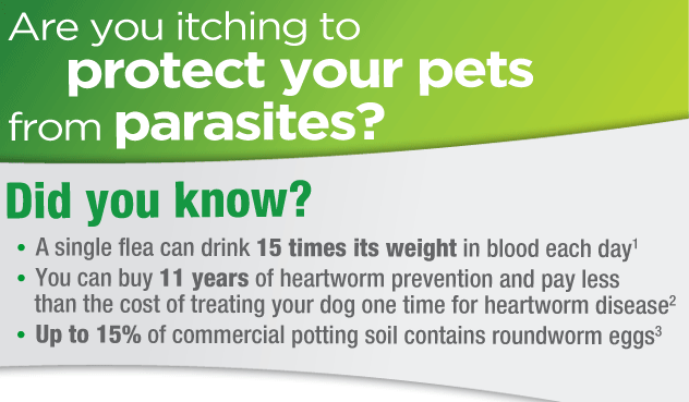 Are you itching to protect your pets from parasites?
            Did you know? 
            A single flea can drink 15 times its weight in blood each day[1]
            You can buy 11 years of heartworm prevention and pay less than the cost of treating your dog one time for heartworm disease[2]
            Up to 15% of commercial potting soil contains roundworm eggs[3]